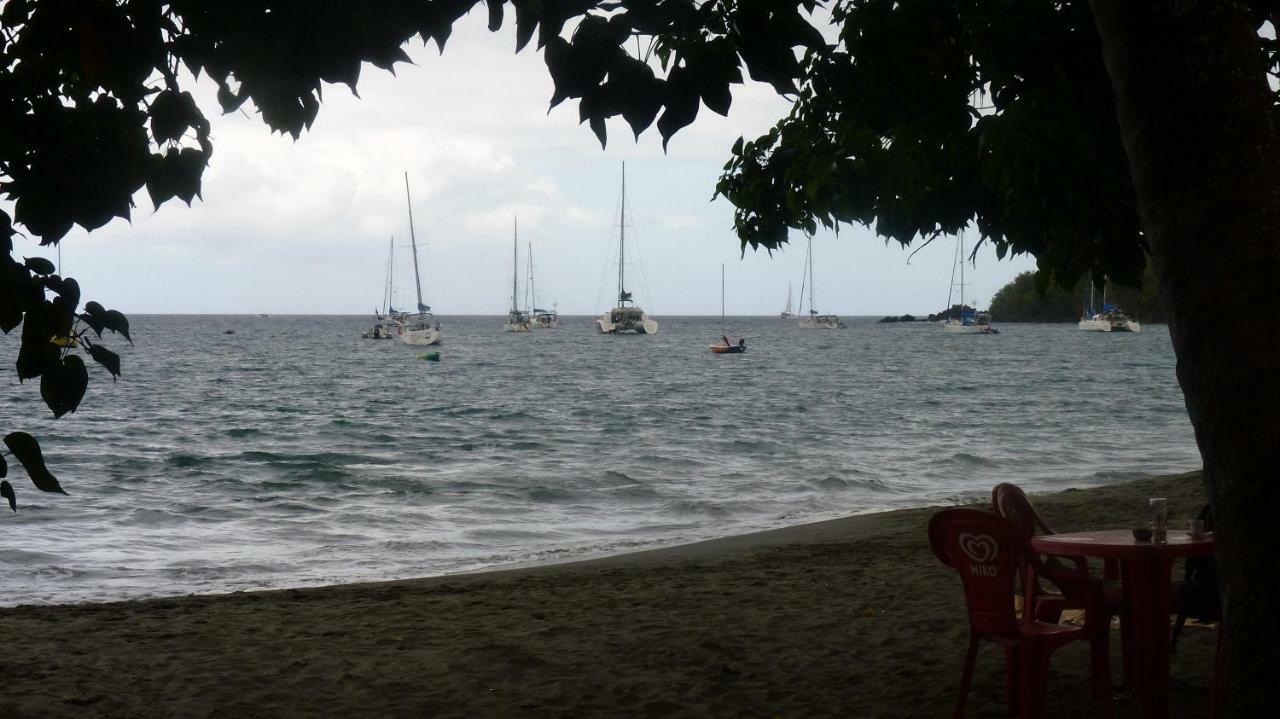 Cote Caraibes Διαμέρισμα Bouillante Εξωτερικό φωτογραφία
